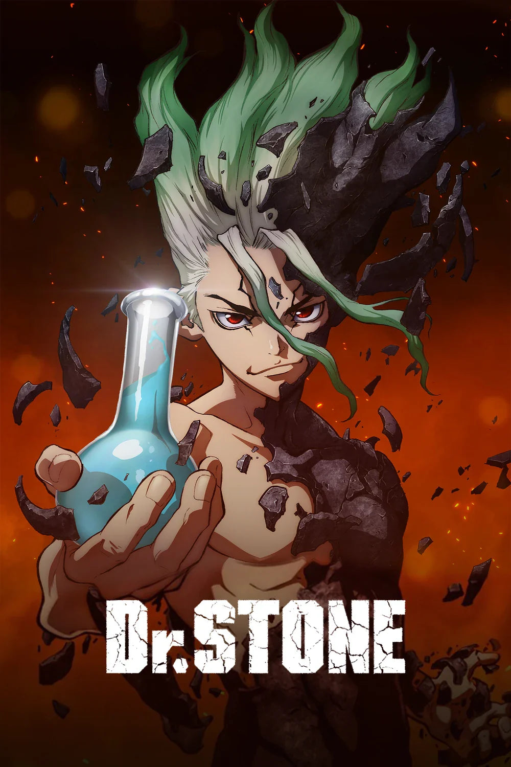 Dr Stone — tela — 1
