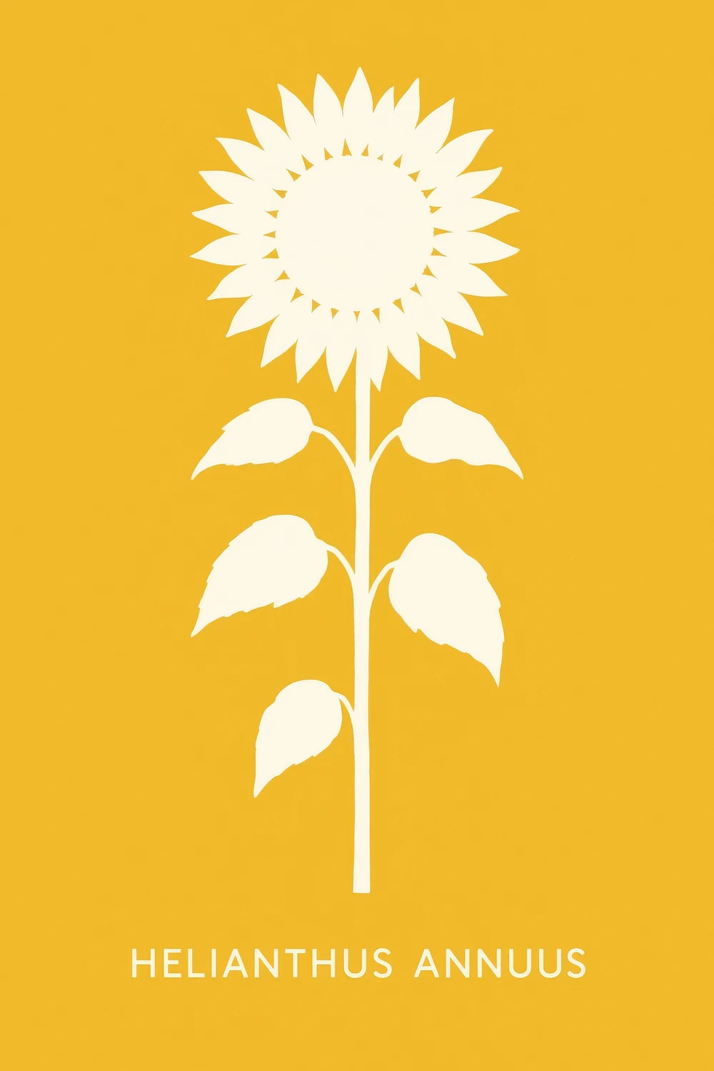 Helianthus Annus — 1