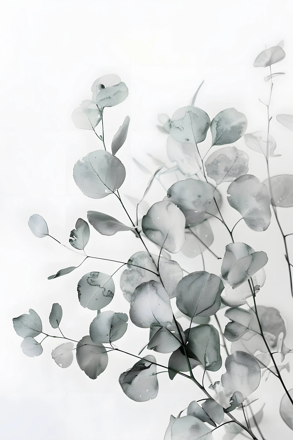 Translucent Flora – No. 09