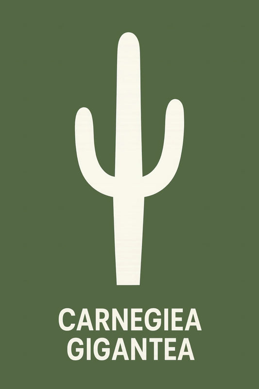 Carnegiea Gigantea — 1