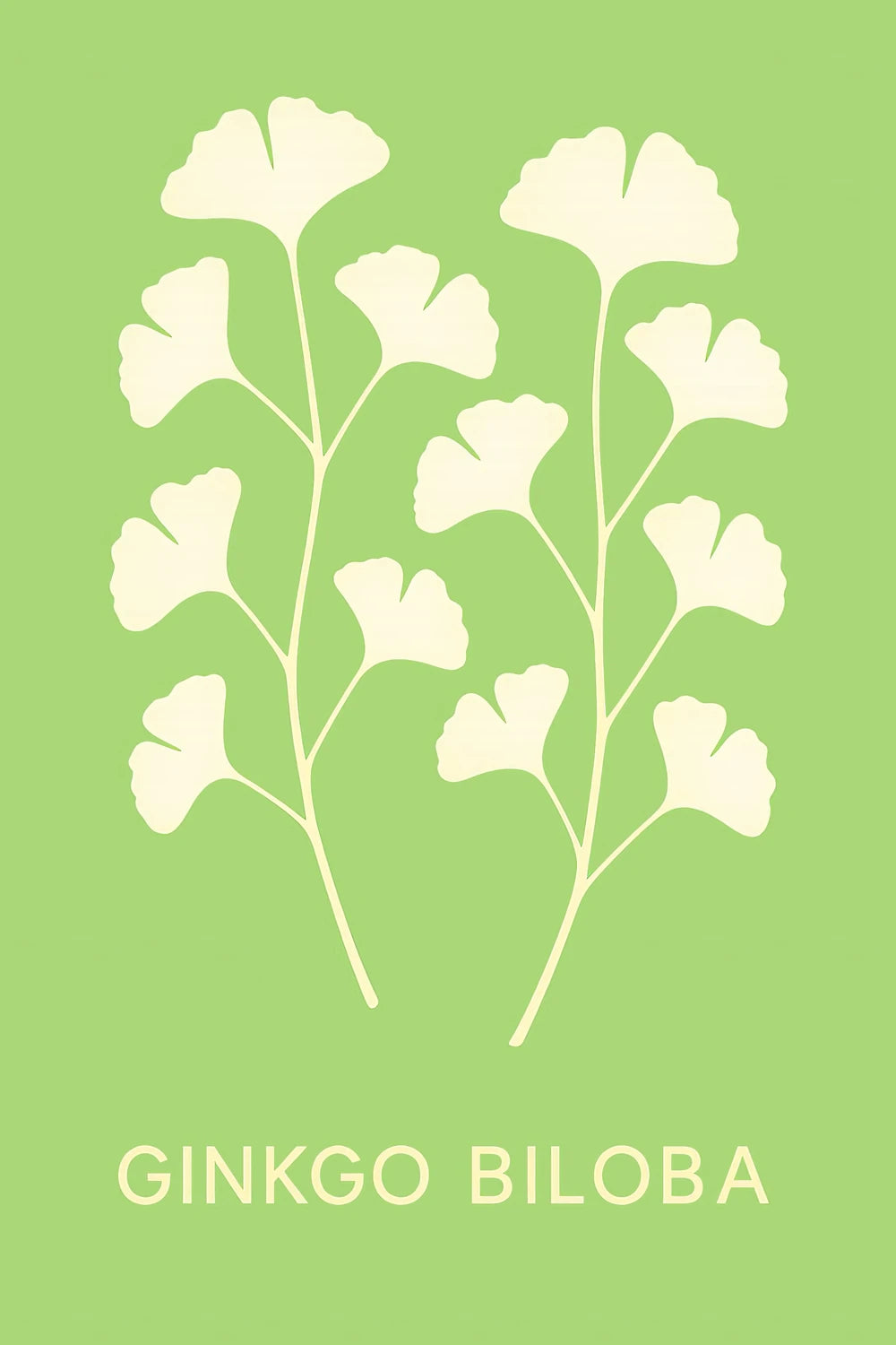 Ginkgo Biloba — 1