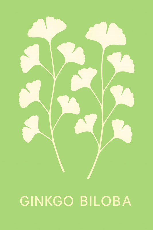Ginkgo Biloba — 1