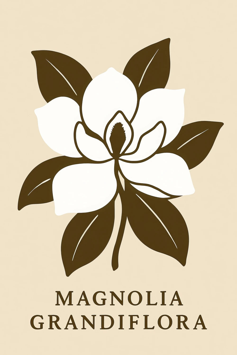 Magnolia Grandiflora — 1