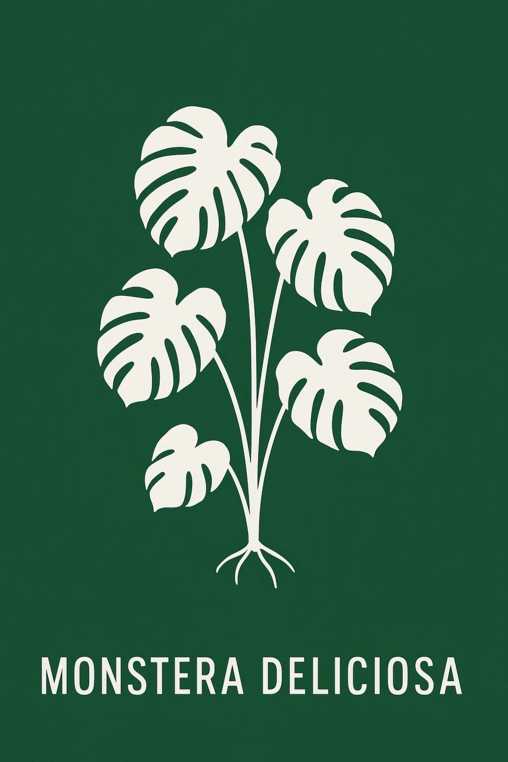 Monstera Deliciosa — 1