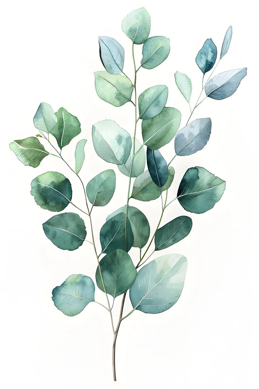 Translucent Flora – No. 01