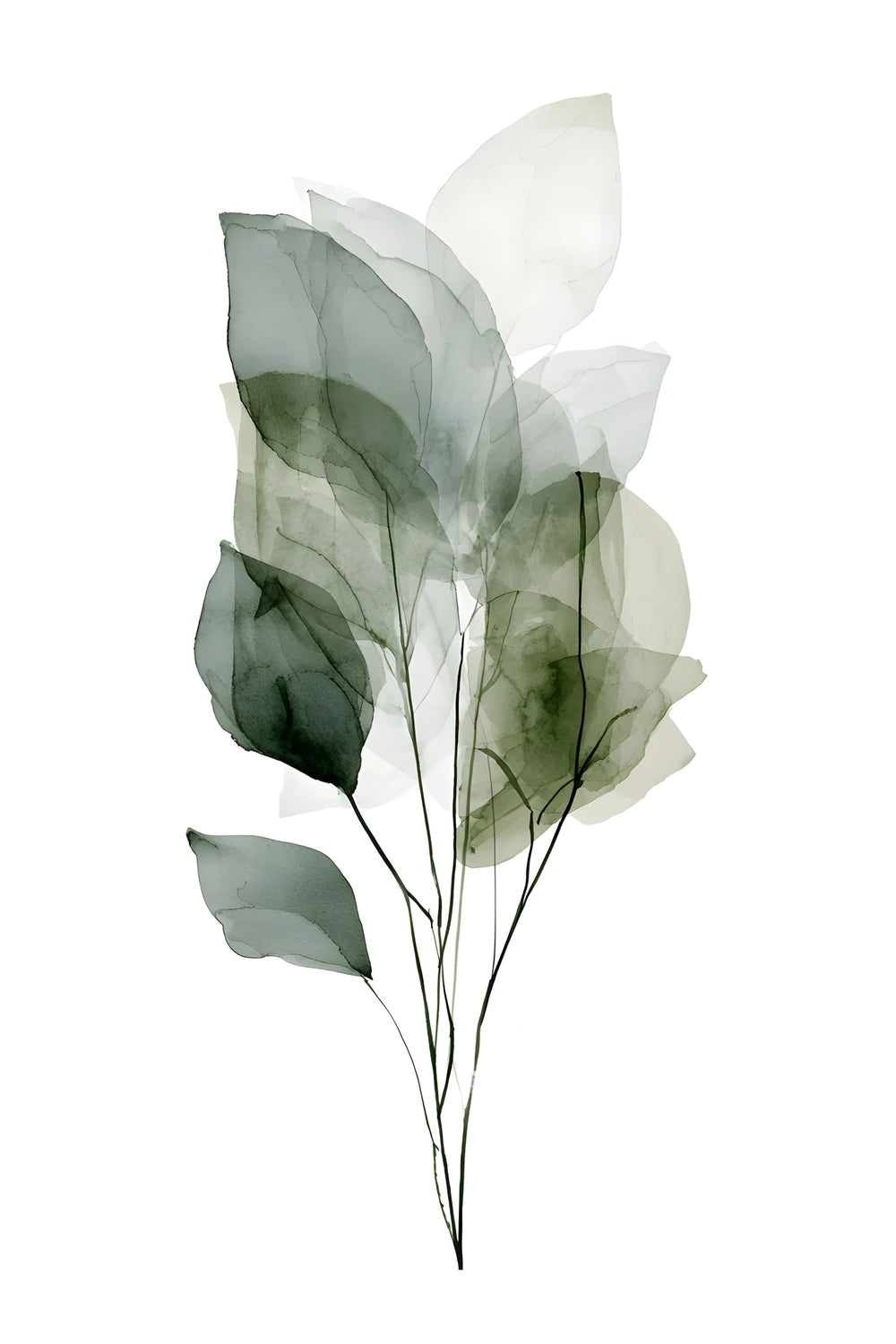 Translucent Flora – No. 05